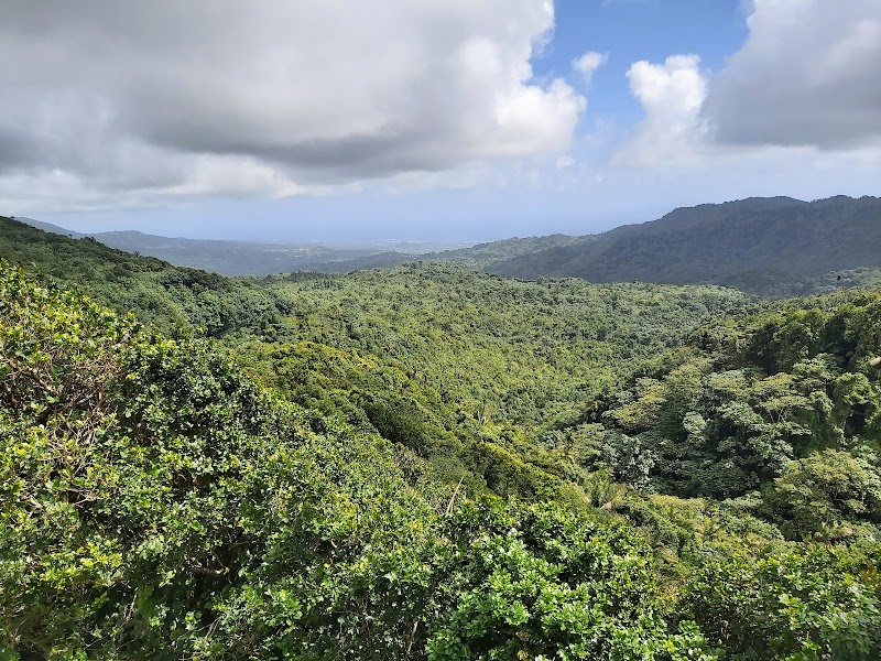 Photo 5 at Grand Étang National Park in Constantine