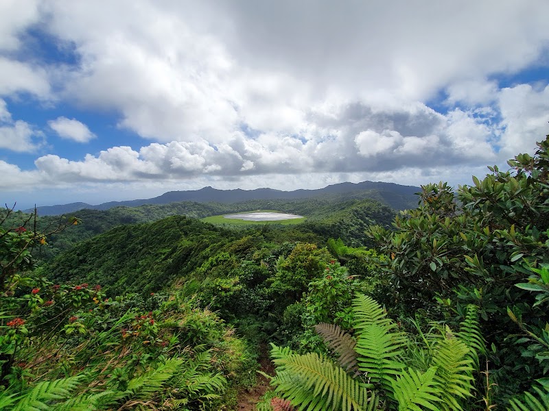Grand Étang National Park in Constantine