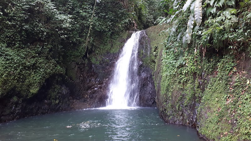 Photo 6 at Grand Étang National Park in Constantine
