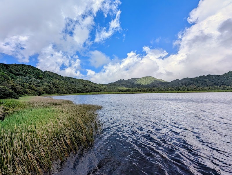 Photo 1 at Grand Étang National Park in Constantine