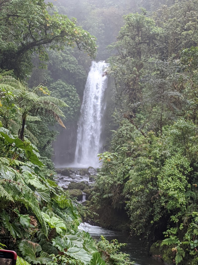Photo 2 at La Paz Waterfall Gardens Nature Park in 