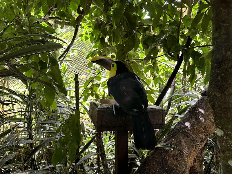 Photo 3 at La Paz Waterfall Gardens Nature Park in 