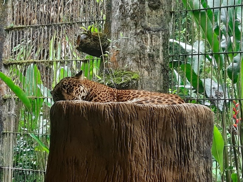 Photo 4 at La Paz Waterfall Gardens Nature Park in 