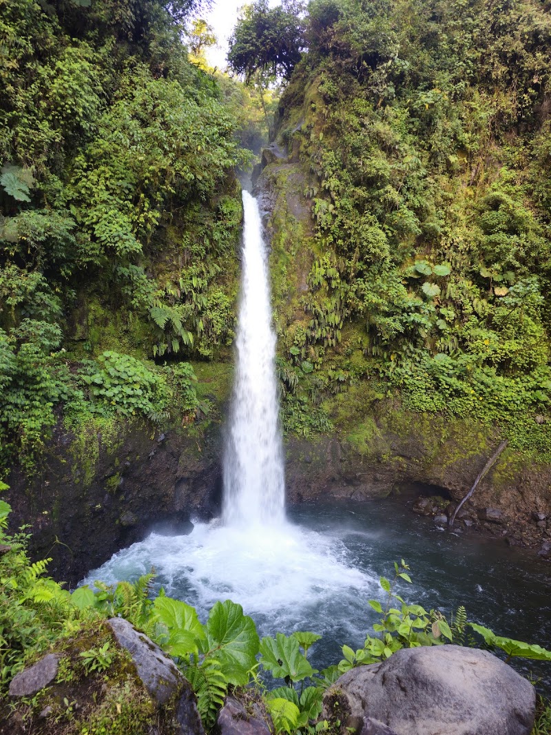 Photo 1 at La Paz Waterfall Gardens Nature Park in 