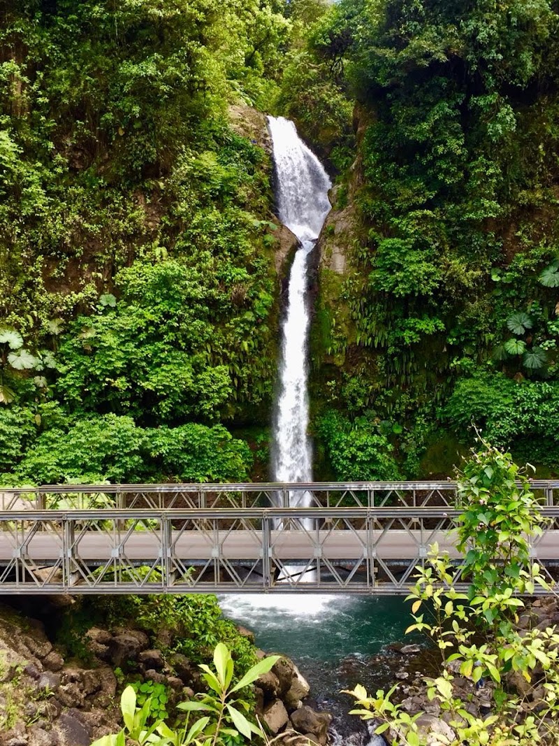 Photo 5 at La Paz Waterfall Gardens Nature Park in 