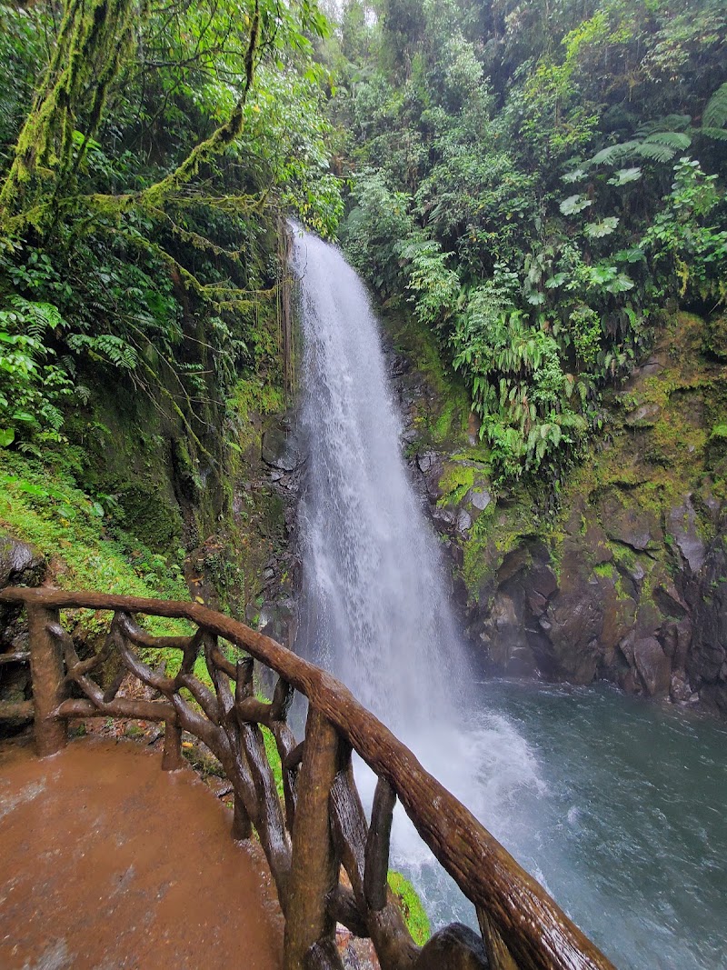 La Paz Waterfall Gardens Nature Park in 