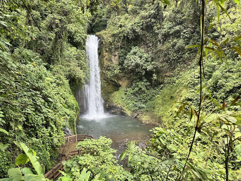 Photo 6 at La Paz Waterfall Gardens Nature Park in 