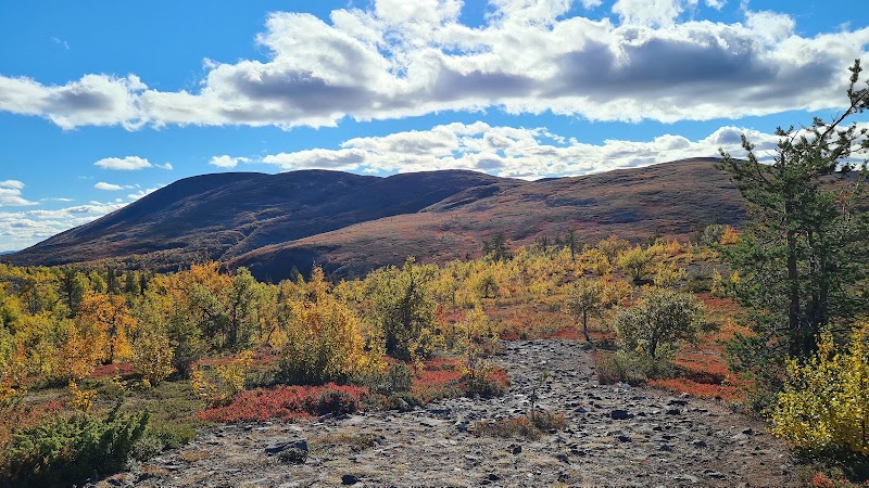 Photo 4 at Pallas-Yllästunturi National Park in 