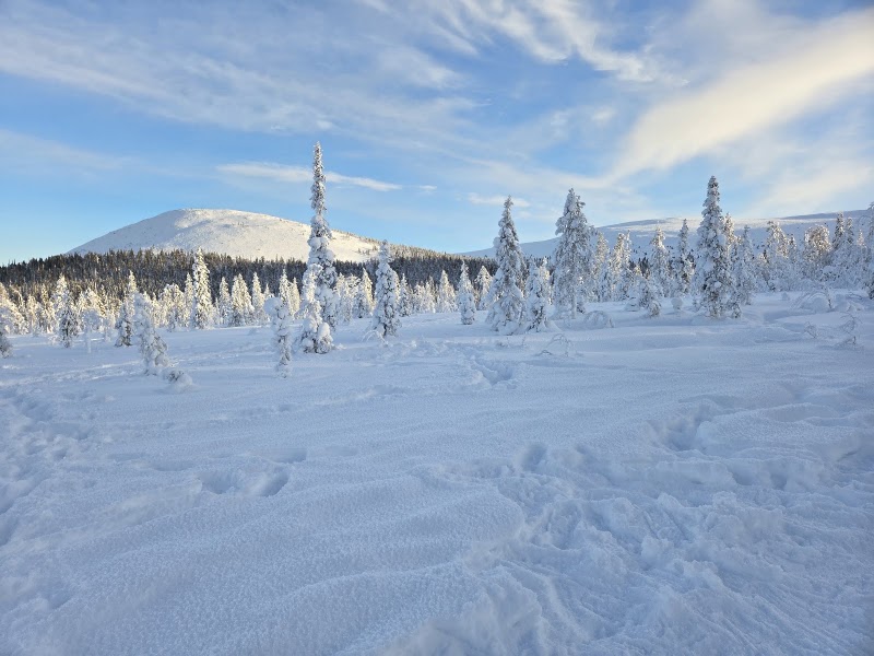 Photo 6 at Pallas-Yllästunturi National Park in 