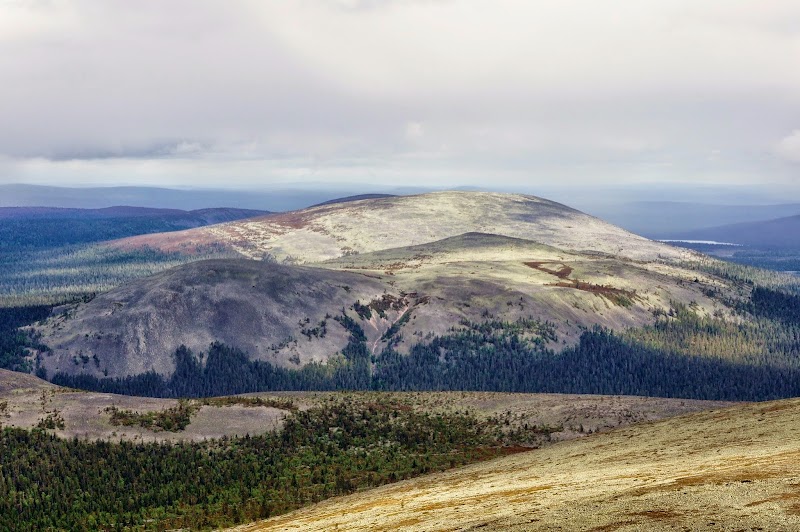 Photo 2 at Pallas-Yllästunturi National Park in 