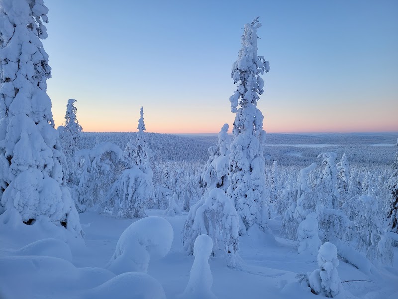 Photo 1 at Pallas-Yllästunturi National Park in 