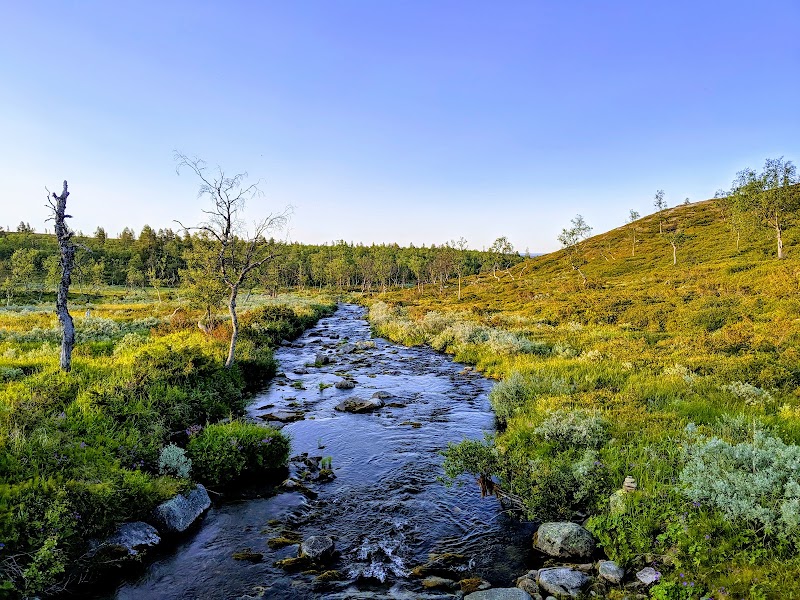 Photo 5 at Pallas-Yllästunturi National Park in 