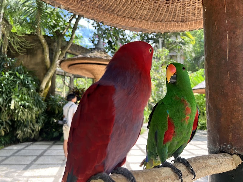 Bali Bird Park in Kecamatan Sukawati