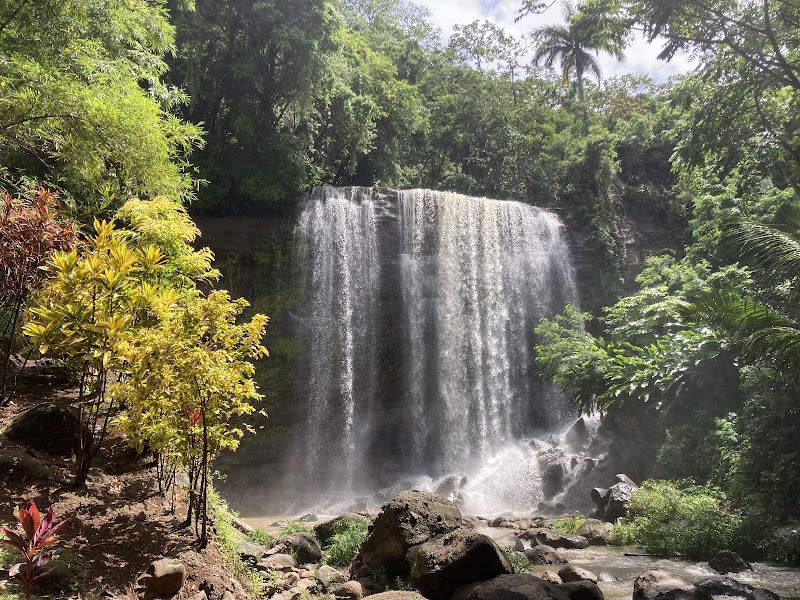 Mt Carmel Falls in Mount Carmel