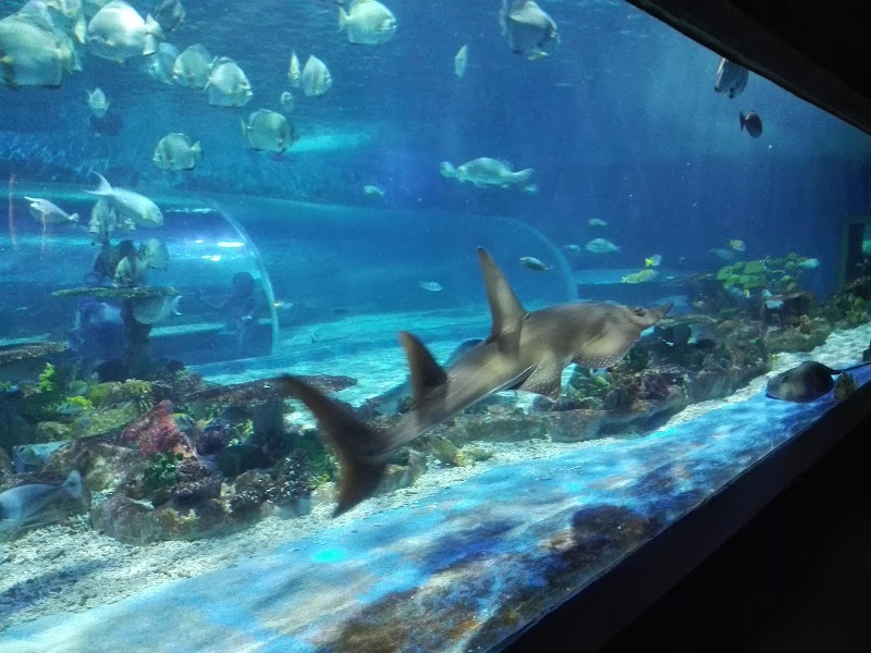 Photo 3 at Manila Ocean Park in Manila