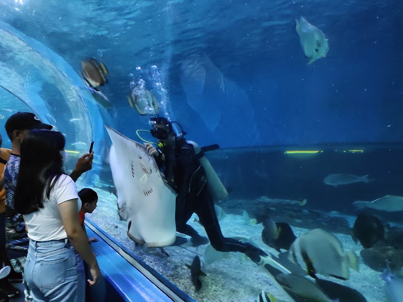 Photo 1 at Manila Ocean Park in Manila