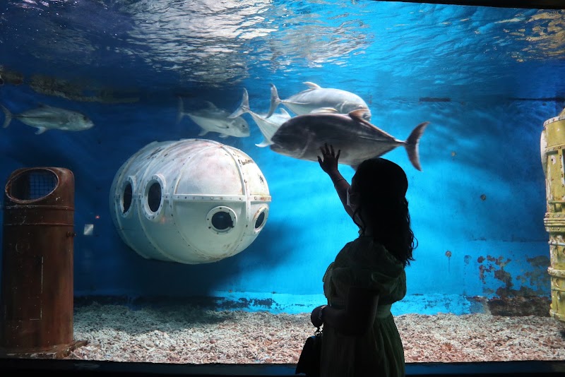 Photo 2 at Manila Ocean Park in Manila