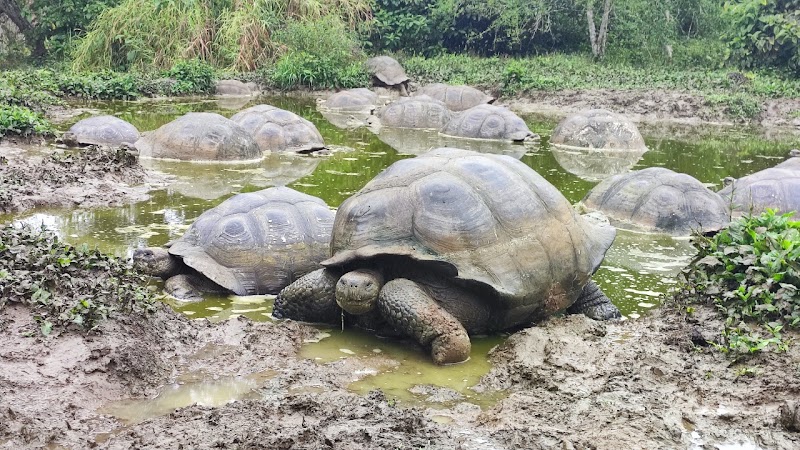 Galapagos frontier in Santa Cruz