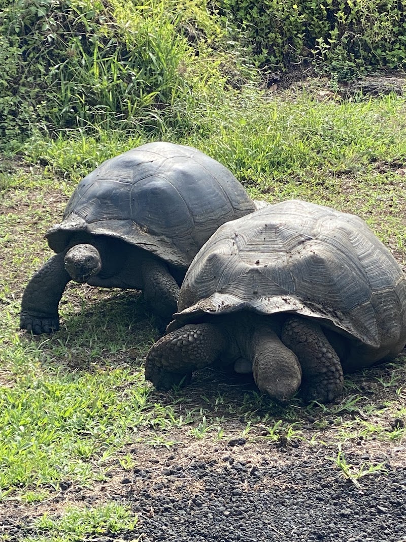Photo 1 at Galapagos frontier in Santa Cruz