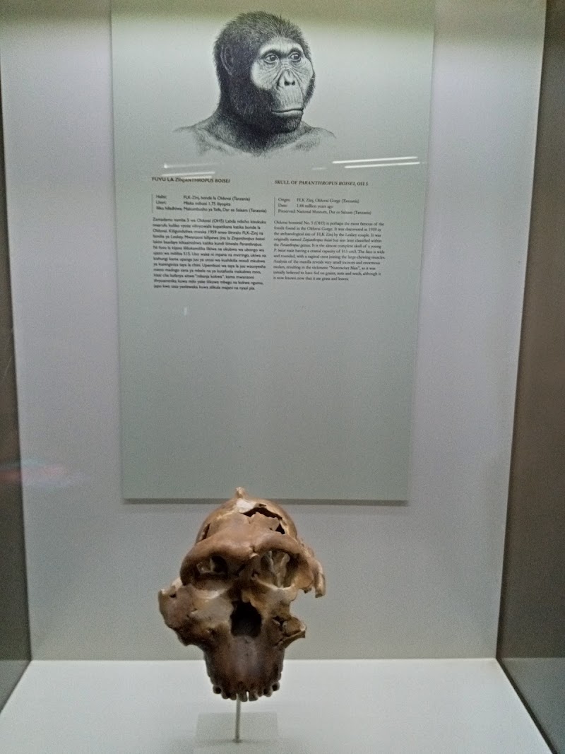Photo 1 at Olduvai Gorge Museum in 