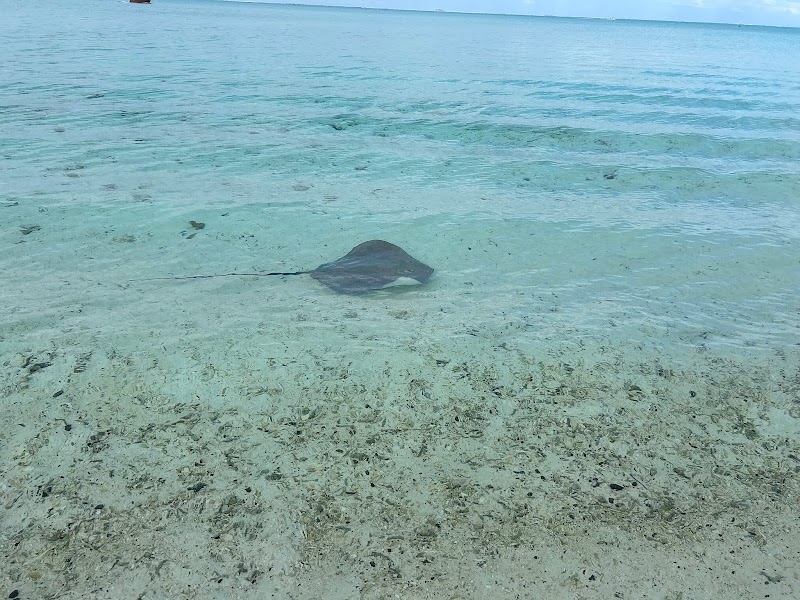 Photo 6 at Matira Beach in Bora-Bora