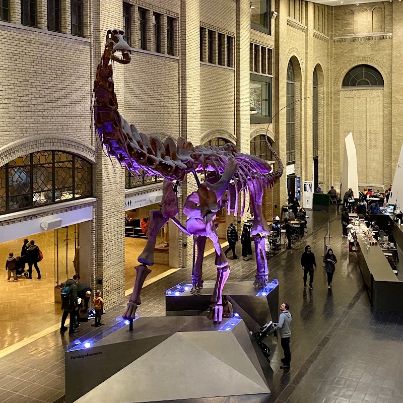 Photo 2 at Royal Ontario Museum in Toronto