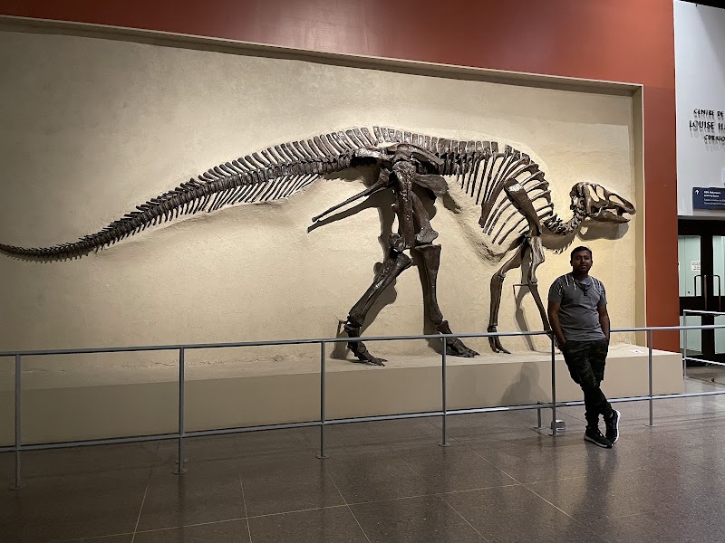 Photo 6 at Royal Ontario Museum in Toronto