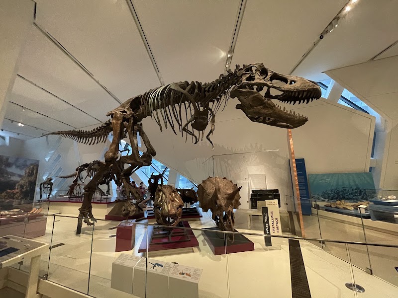 Photo 5 at Royal Ontario Museum in Toronto