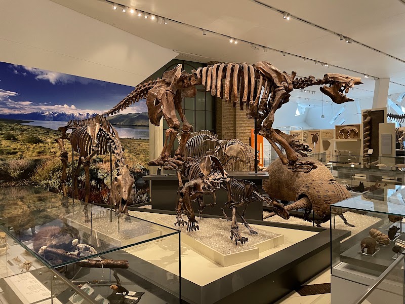 Photo 1 at Royal Ontario Museum in Toronto