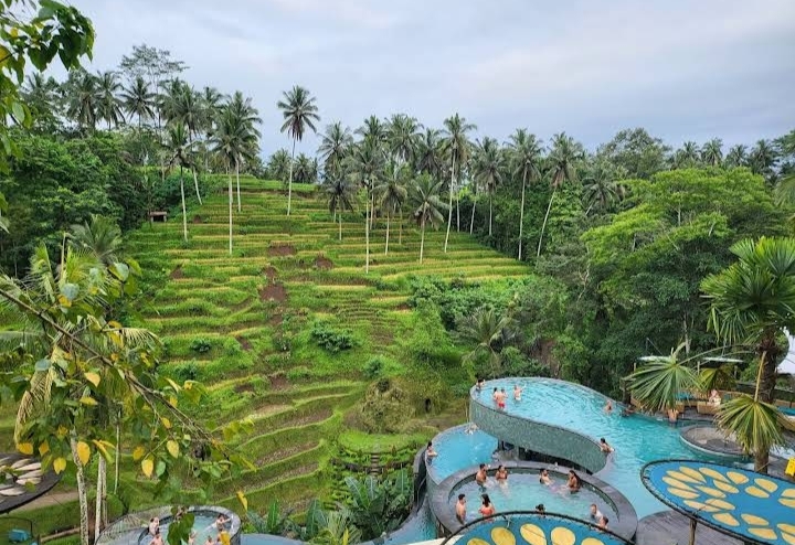 Photo 5 at Alas Harum Bali in Kecamatan Tegallalang