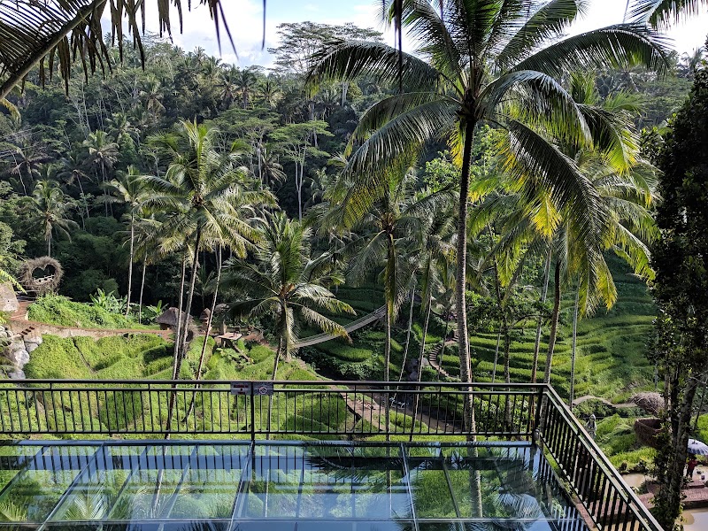 Photo 1 at Alas Harum Bali in Kecamatan Tegallalang