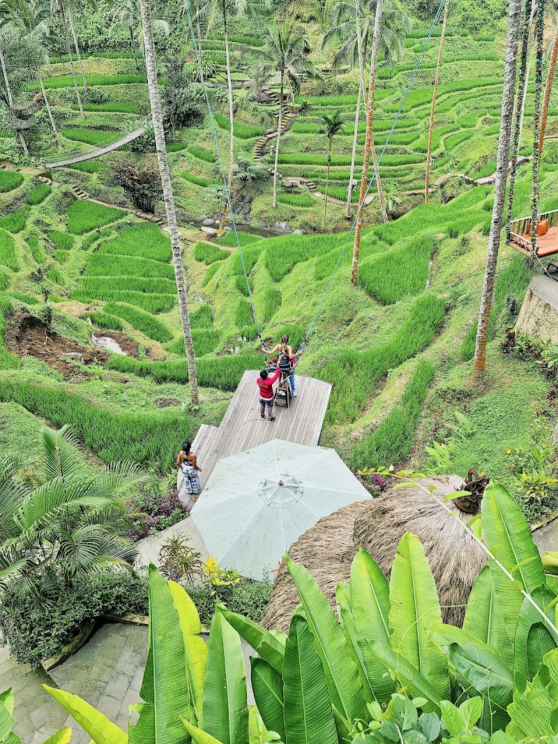 Photo 3 at Alas Harum Bali in Kecamatan Tegallalang