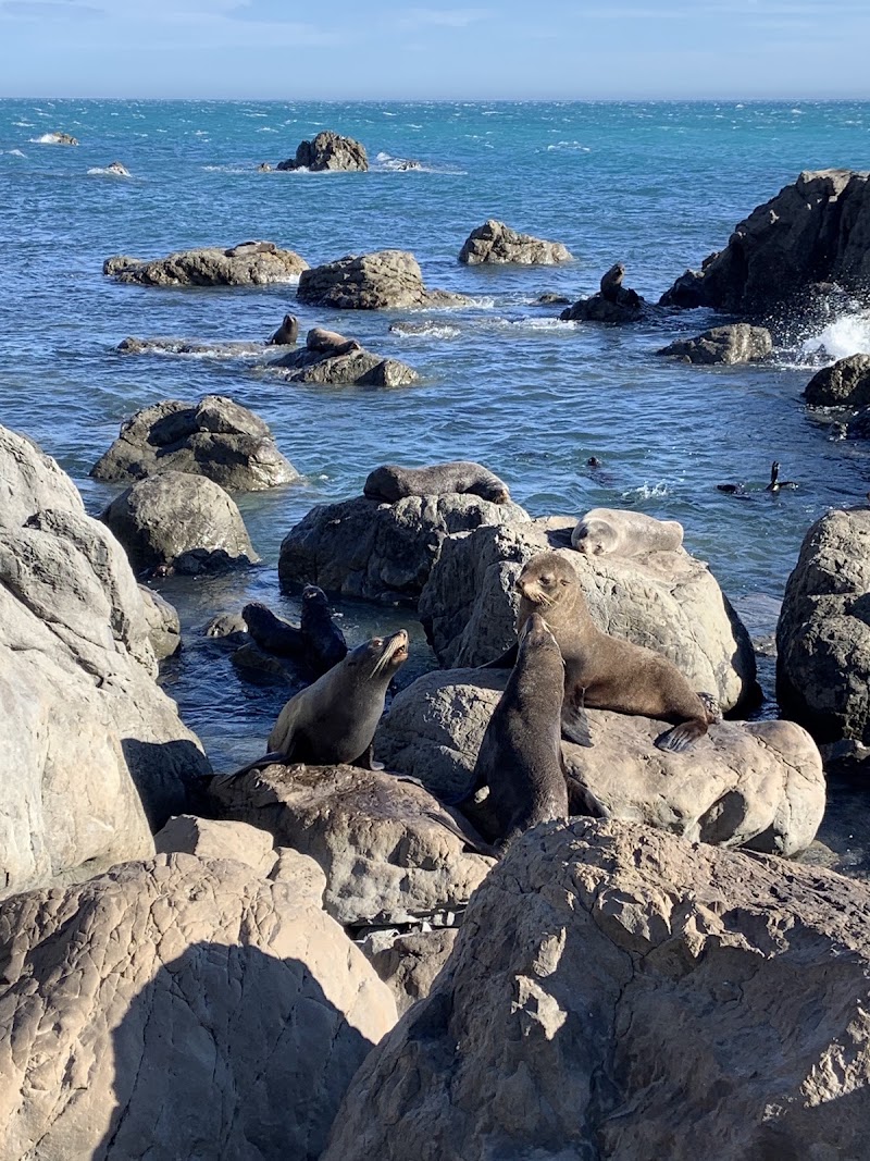 Photo 3 at Cape Palliser Lighthouse in Cape Palliser