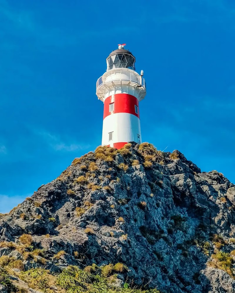 Photo 5 at Cape Palliser Lighthouse in Cape Palliser