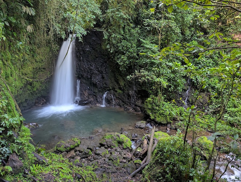 Photo 4 at Parque Nacional Volcán Arenal in El Castillo
