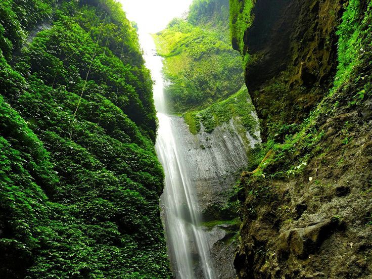 Photo 5 at Madakaripura Waterfall in Kecamatan Lumbang