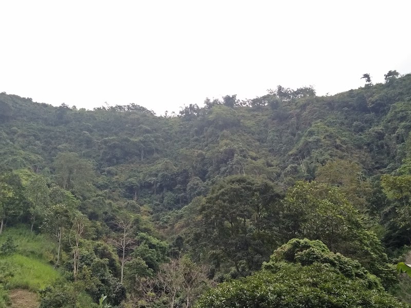Photo 4 at Madakaripura Waterfall in Kecamatan Lumbang