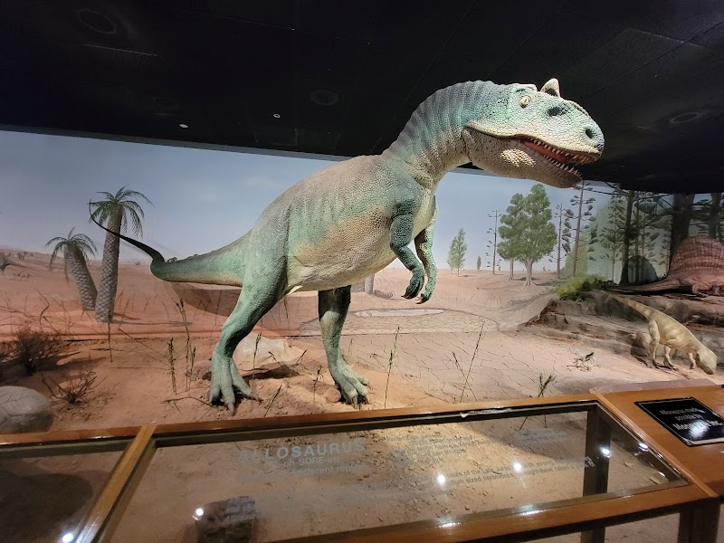 Photo 4 at Las Vegas Science & Natural History Museum in Las Vegas