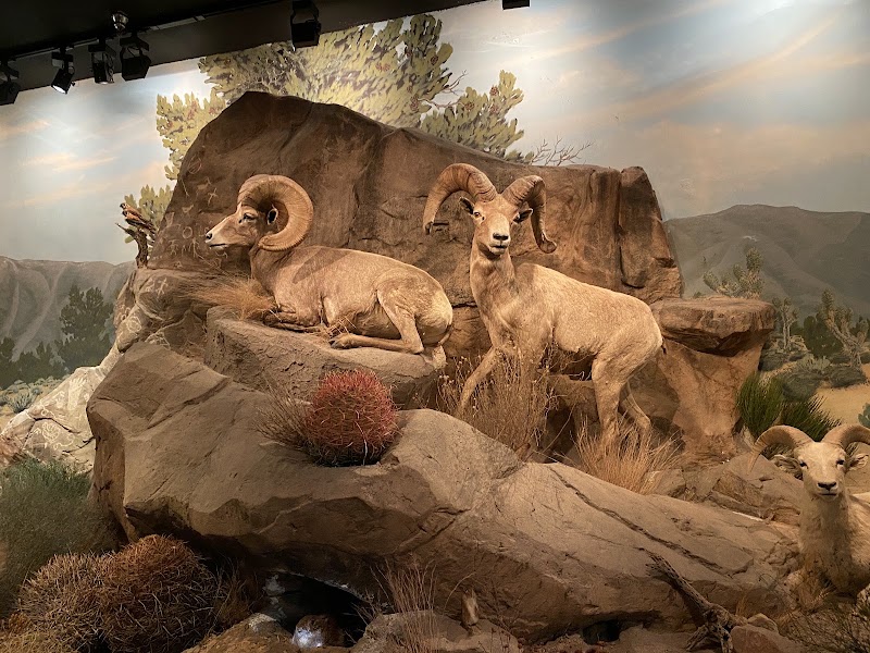 Photo 3 at Las Vegas Science & Natural History Museum in Las Vegas
