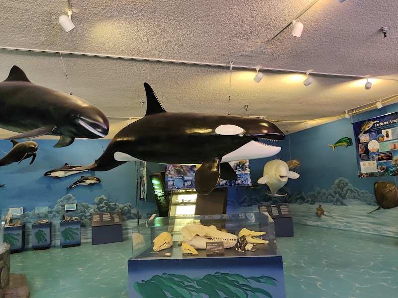 Photo 2 at Las Vegas Science & Natural History Museum in Las Vegas