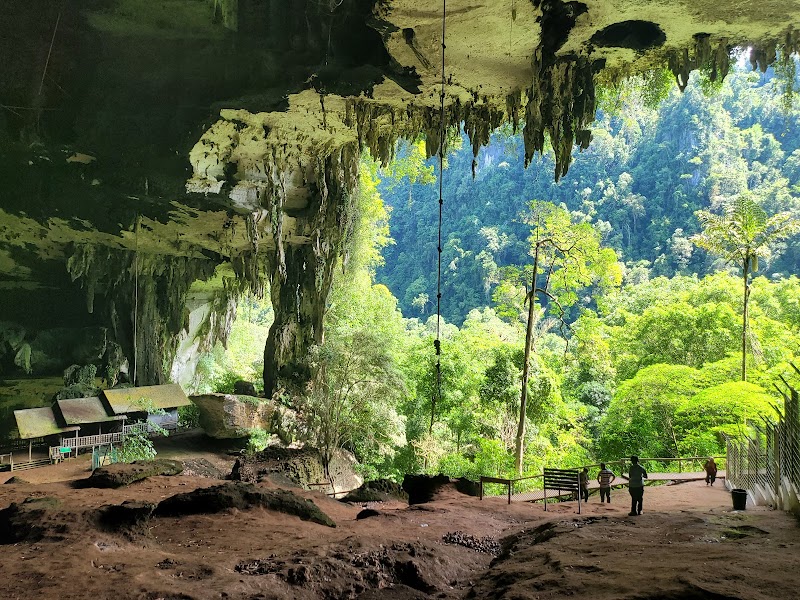 Niah National Park in Miri