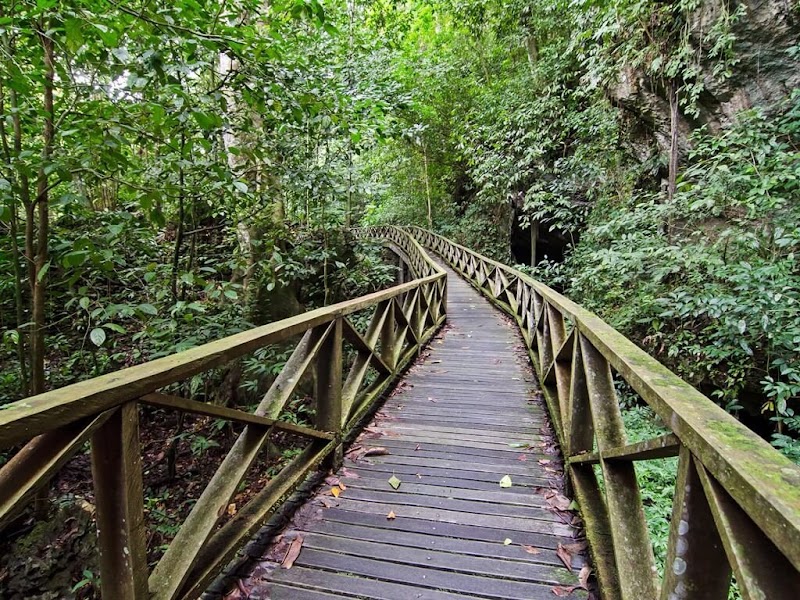 Photo 2 at Niah National Park in Miri