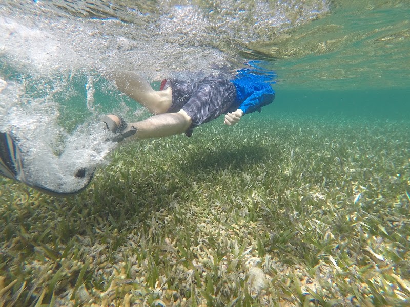 Photo 1 at Belize Barrier Reef in 