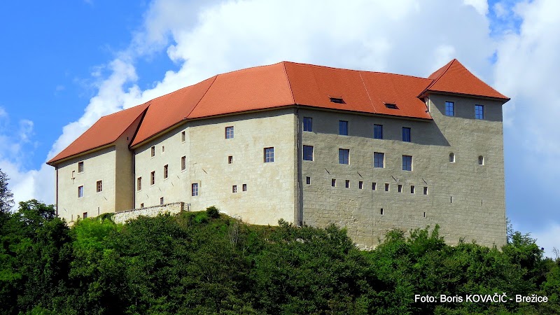 Rajhenburg Castle in Brestanica
