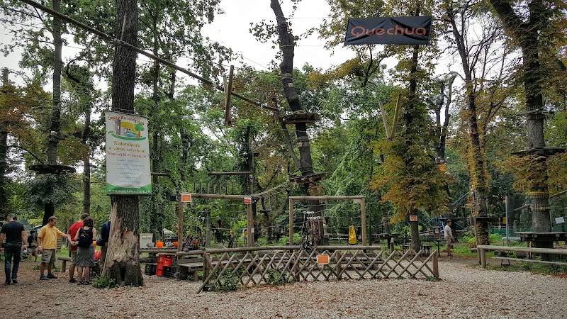Photo 5 at Orczy Adventure Park in Budapest