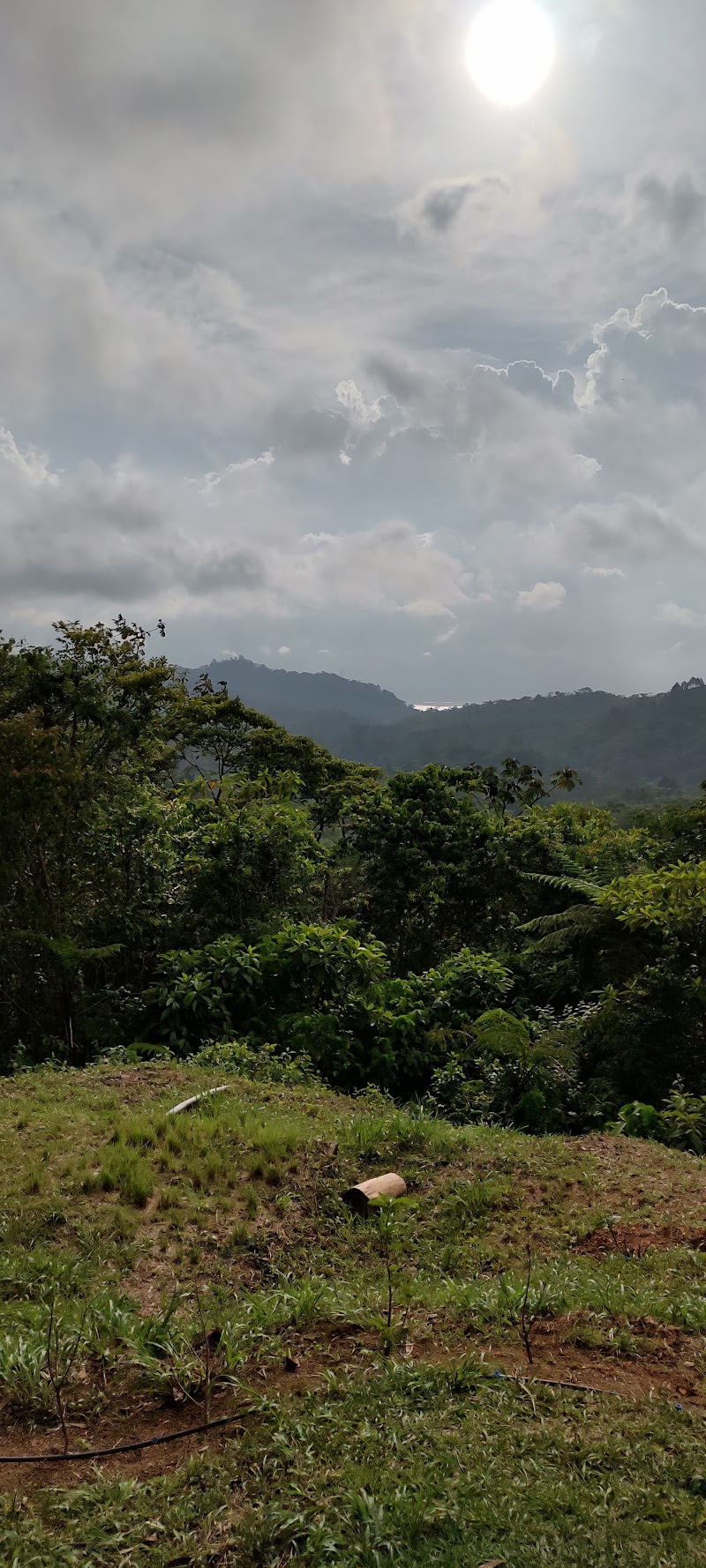 Photo 2 at Parque Nacional Cerro Azul Meámbar in Cerro Azul