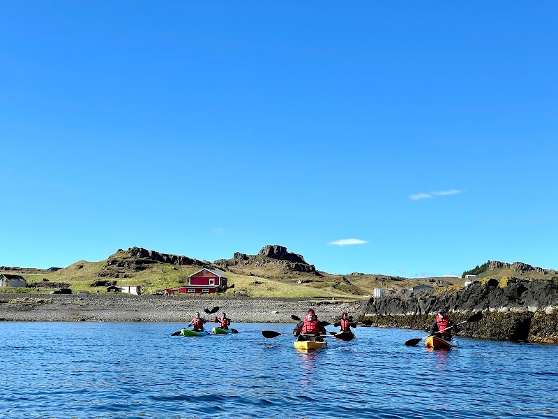 Photo 4 at Arctic Fun - kayaking and bike tours on the East Fjords of Iceland in Djúpivogur