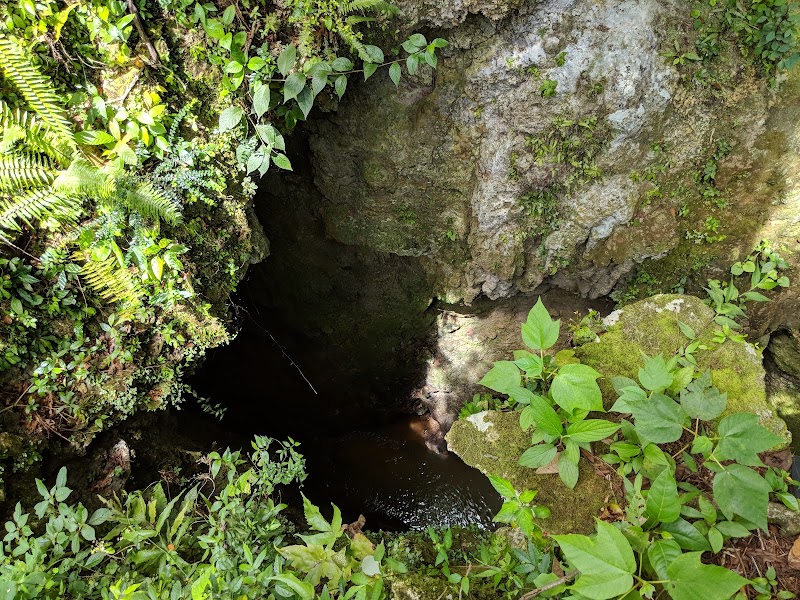 Photo 3 at Puerto Rico Interior Tours in Lares