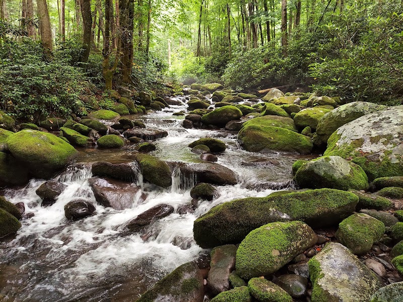 Photo 1 at Great Smoky Mountains National Park in 