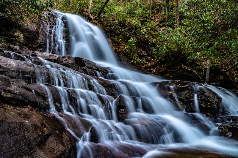 Photo 2 at Great Smoky Mountains National Park in 